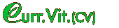 Curriculum Vitae (CV in English)